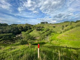  Terreno (Parcela) en venta en Cartago, Valle Del Cauca, Cartago