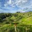  Land for sale in Cartago, Valle Del Cauca, Cartago
