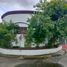 3 Schlafzimmer Haus zu verkaufen in Bacoor City, Calabarzon, Bacoor City, Cavite, Calabarzon