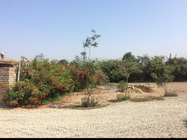  Land for sale in Pachacamac, Lima, Pachacamac