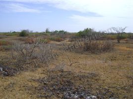  Terreno (Parcela) en venta en Contralmirante Villar, Tumbes, Zorritos, Contralmirante Villar