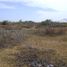  Land for sale in Zorritos, Tumbes, Zorritos, Contralmirante Villar, Tumbes