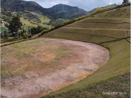Terrain à vendre à Guarne, Antioquia, Guarne, Antioquia
