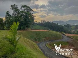  Terreno (Parcela) en venta en Guarne, Antioquia, Guarne