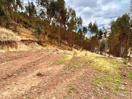 在秘鲁出售的 土地, San Sebastian, Cusco, Cusco, 秘鲁