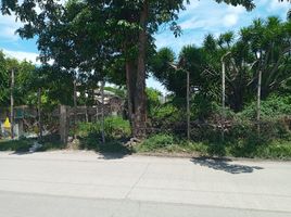  Terreno (Parcela) en venta en Lapu-Lapu City, Central Visayas, Lapu-Lapu City, Cebu