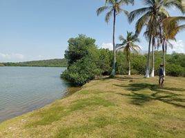  Land for sale in Cartagena, Bolivar, Cartagena