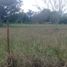  Land for sale in Palmira, Valle Del Cauca, Palmira