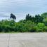  Land for sale in Hinagdanan Cave, Dauis, Dauis