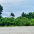  Land for sale in Dauis, Bohol, Dauis