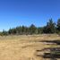  Land for sale in Chile, Cauquenes, Cauquenes, Maule, Chile