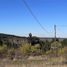  Land for sale in Chile, Cauquenes, Cauquenes, Maule, Chile