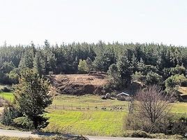  Land for sale in Chile, Cauquenes, Cauquenes, Maule, Chile