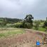  Land for sale in Loja, Loja, Loja, Loja