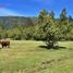  Terreno (Parcela) en venta en Chile, Pucón, Cautín, Araucanía, Chile