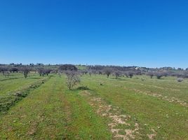  Terreno (Parcela) en venta en Chile, Litueche, Cardenal Caro, Libertador General Bernardo O'Higgins, Chile