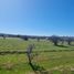  Terreno (Parcela) en venta en Chile, Litueche, Cardenal Caro, Libertador General Bernardo O'Higgins, Chile
