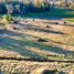  Land for sale in Chile, Osorno, Osorno, Los Lagos, Chile