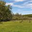  Land for sale in Coihaique Aisen Del General Carlos Ibanez Del Campo, Coihaique, Coihaique
