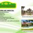 在Compostela, Cebu出售的 土地, Compostela