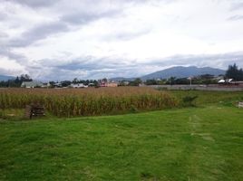  Terreno (Parcela) en venta en Puembo, Quito, Puembo