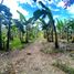  Land for sale in Cebu Central Visayas, Tuburan