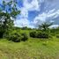  Land for sale in Cebu Central Visayas, Tuburan
