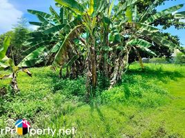  Grundstück zu verkaufen im MARYVILLE SUBDIVISION, Cebu City