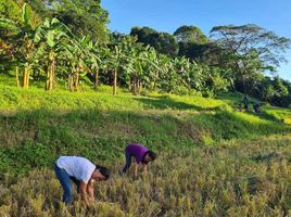  Terreno (Parcela) en venta en Norzagaray, Bulacan, Norzagaray