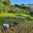  Land for sale in Norzagaray, Central Luzon, Norzagaray