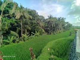  Grundstück zu verkaufen in Gianyar, Bali, Tegallalang