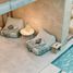 Villa 4 chambre à vendre à Cozumel, Quintana Roo, Cozumel