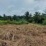  Land for sale in Silang, Calabarzon, Silang