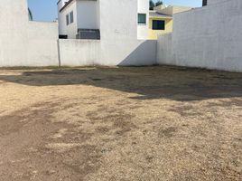 Terrain à vendre à Irapuato, Guanajuato, Irapuato
