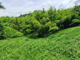  Land for sale in Caldas, Manizales, Caldas