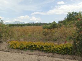  Terreno (Parcela) en venta en Malchingui, Pedro Moncayo, Malchingui