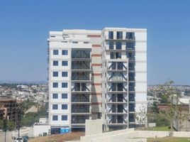 2 chambre Condominium for rent in Atlixco, Puebla, Atlixco