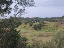  Terreno (Parcela) en alquiler en Veracruz, Veracruz, Veracruz, Veracruz