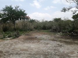  Grundstück zu verkaufen in Tepoztlan, Morelos, Tepoztlan, Morelos