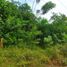  Land for sale in Malambo, Atlantico, Malambo