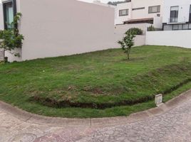  Land for sale in Zapopan, Jalisco, Zapopan, Jalisco, Mexico