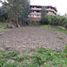  Land for sale in Chacas, Ancash, Chacas, Asuncion, Ancash