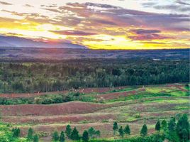  Terreno (Parcela) en venta en Manolo Fortich, Bukidnon, Manolo Fortich