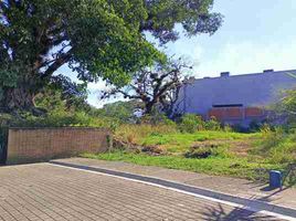  토지을(를) Xalapa, 베라 크루즈에서 판매합니다., Xalapa