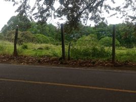  Land for sale in Rivera, Huila, Rivera