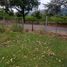  Land for sale in Rivera, Huila, Rivera