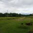  Land for sale in Rivera, Huila, Rivera