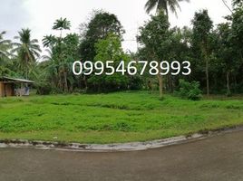  Land for sale in San Pablo City, Laguna, San Pablo City