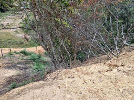  Terreno (Parcela) en venta en Marinilla, Antioquia, Marinilla