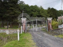  Terreno (Parcela) en venta en Tarqui, Cuenca, Tarqui